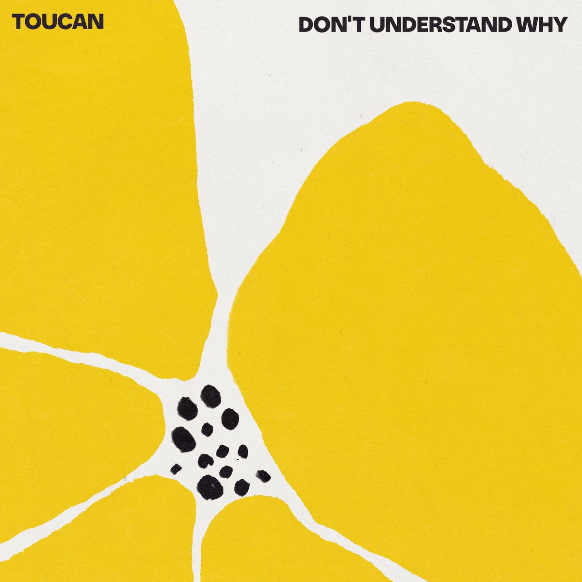 Listen to the album 'Don't Understand Why' and appreciate the talent of the promising artist TOUCAN. #indiedockmusicblog #soul eu1.hubs.ly/H098ZN60