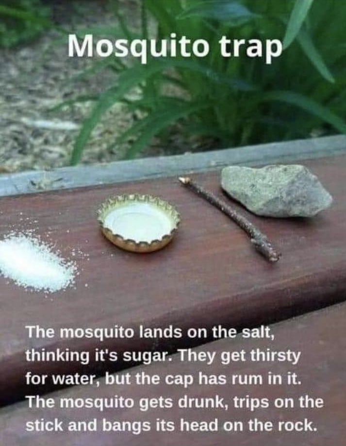 Followers! Use this *effective trap* for avoiding mosquito bites. Follow me for more top tips! 🤣👍🏻