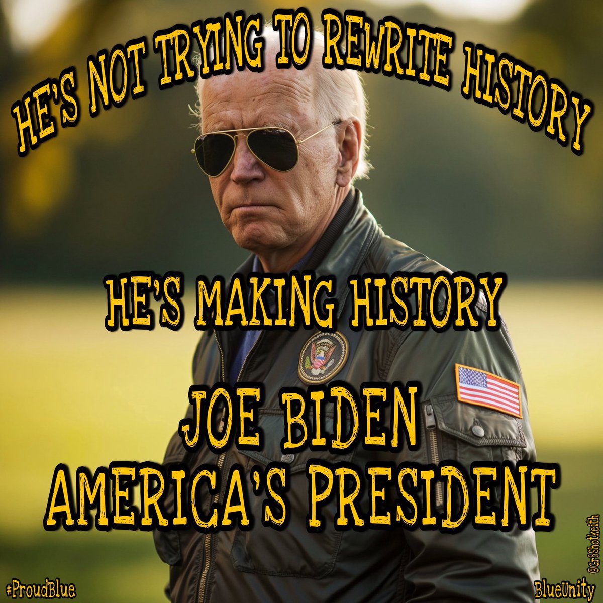 #ProudBlue This is the man I will be voting for in November. No malarkey. #BidenHarris4More