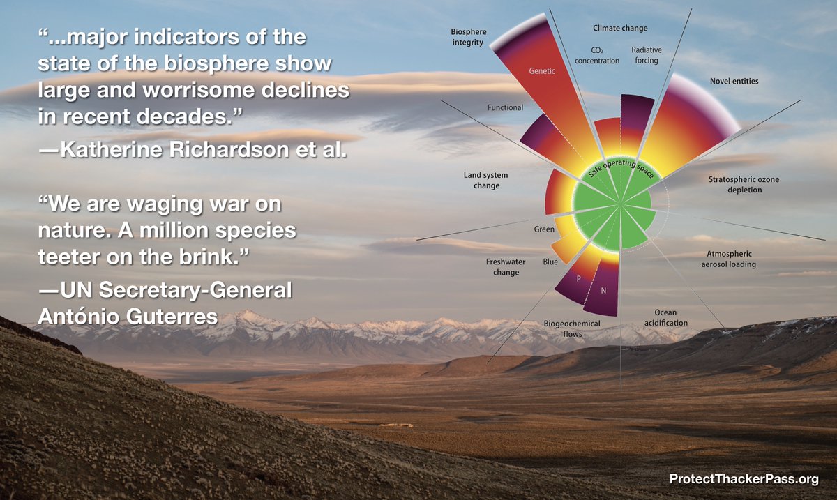 Motorized transportation inflicts suffering on an almost unimaginable scale; there may be nothing humans do that causes more misery to more wild animals than driving. -- Ben Goldfarb, Crossings.
#DefendTheLand
#ProtectNature
#BiodiversityCrisis
#EndCarCulture