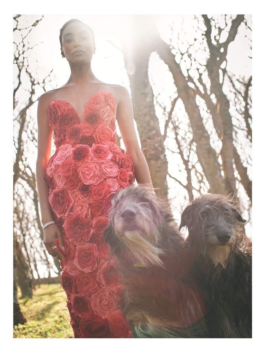 My friends hounds were featured in @harpersbazaarus with @missjourdandunn in a photo shot here in Caithness for the magazine