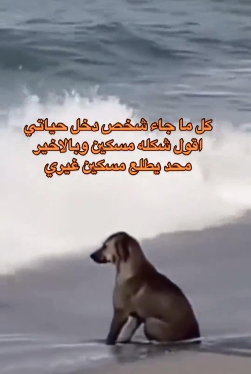 حرفياً انا :