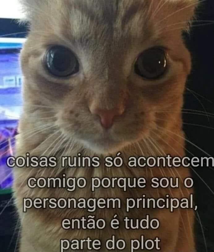 alecrim pensamentos (@alcrsk) on Twitter photo 
