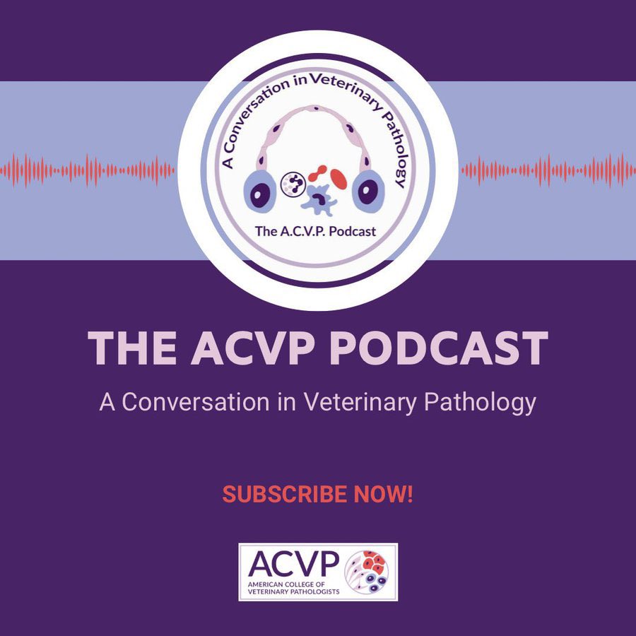 Have you subscribed to our fabulous podcast yet? In this episode, @WSUvetmed's Dr Mara Varvil talks about: ✅The Clin Path program at WSU ✅Using digital slides to speed up diagnostic time Listen on the go! 🎧bit.ly/3wDKIdN