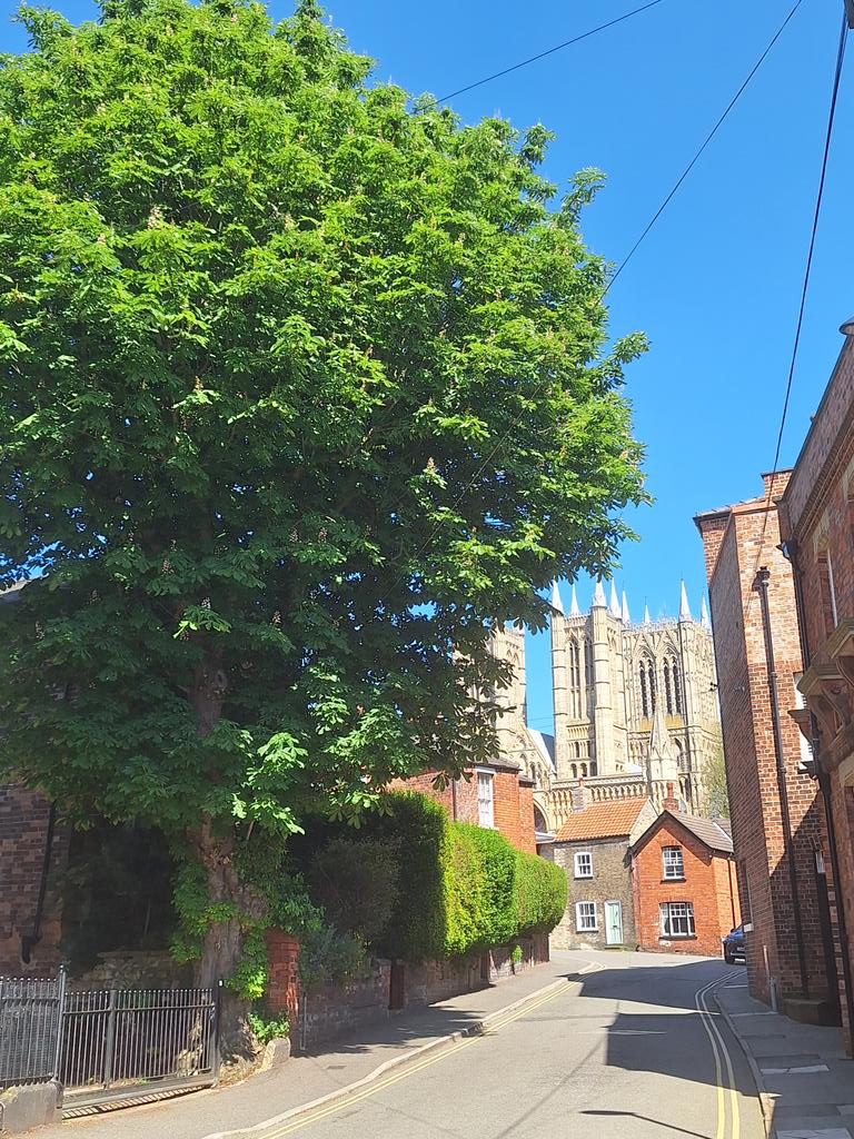 It's always great to show off your home city to someone who has never seen It's delights before. Thanks @ImSuzieSparkles for making your trip here so special. @visitlincoln. Absolutely! Lincoln was looking stunning today. 😍