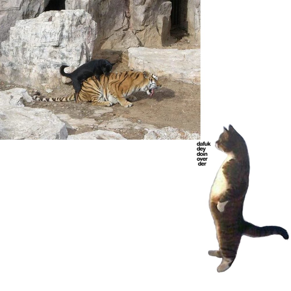 2SOL and that dog in you. 

$dafuk