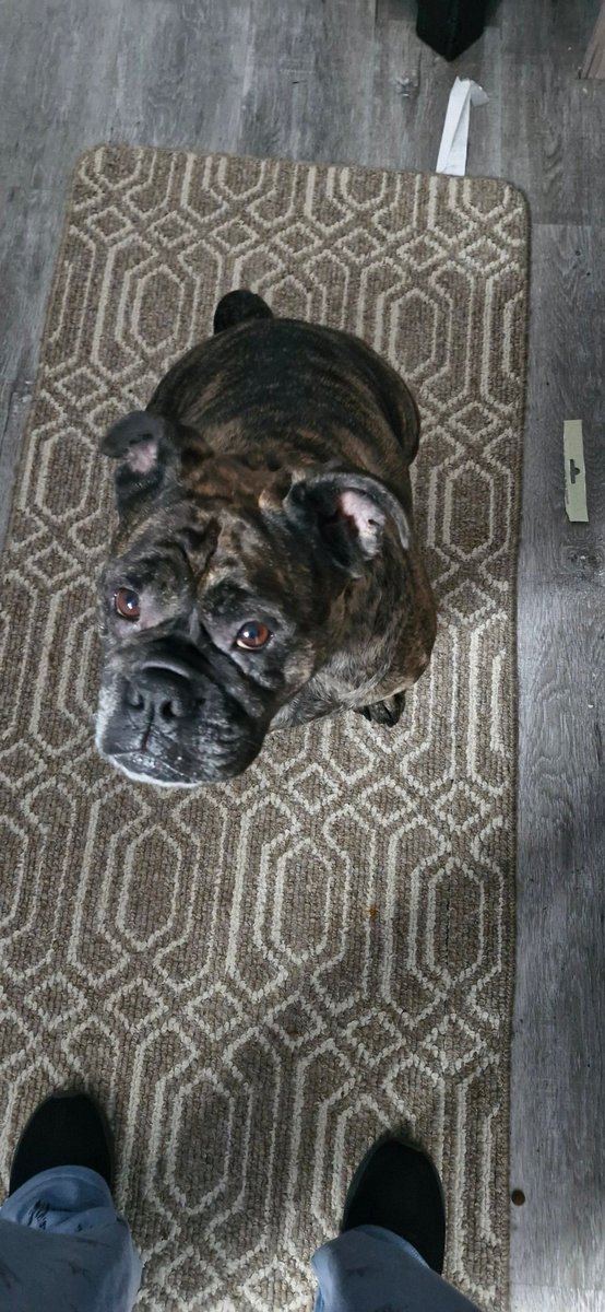 Fifi Lou tweet media