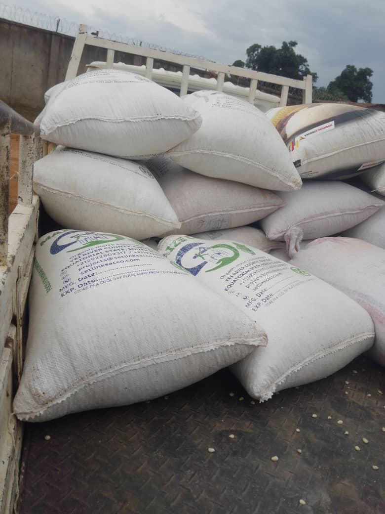 SetlinkFinance's tweet image. Our Maize Grains available in store at YEI from our members surplus got acquired by the government of YEI River County as supply of emergency food response to the returnees in Cenema. 

We are feeding the NATION.

Visit SETLINK SACCO office in YEI.