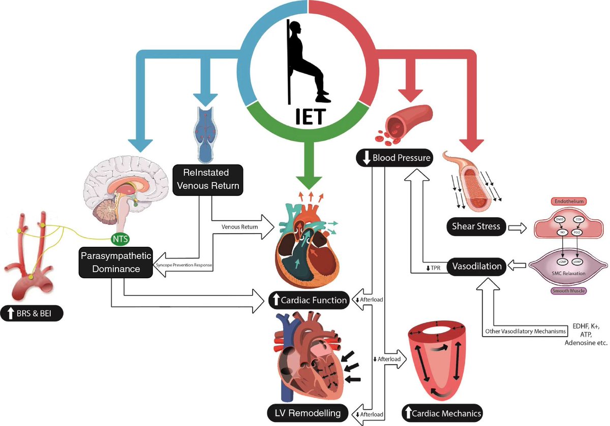 Physio Meets Science tweet media