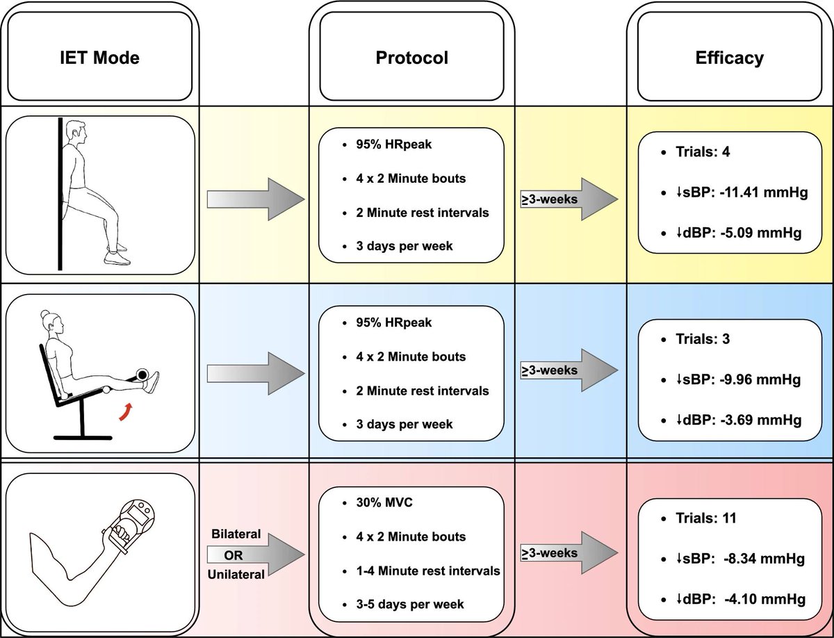 Isometric Exercise Training and Arterial Hypertension: An Updated Review 💪 👇👇👇 link.springer.com/article/10.100…