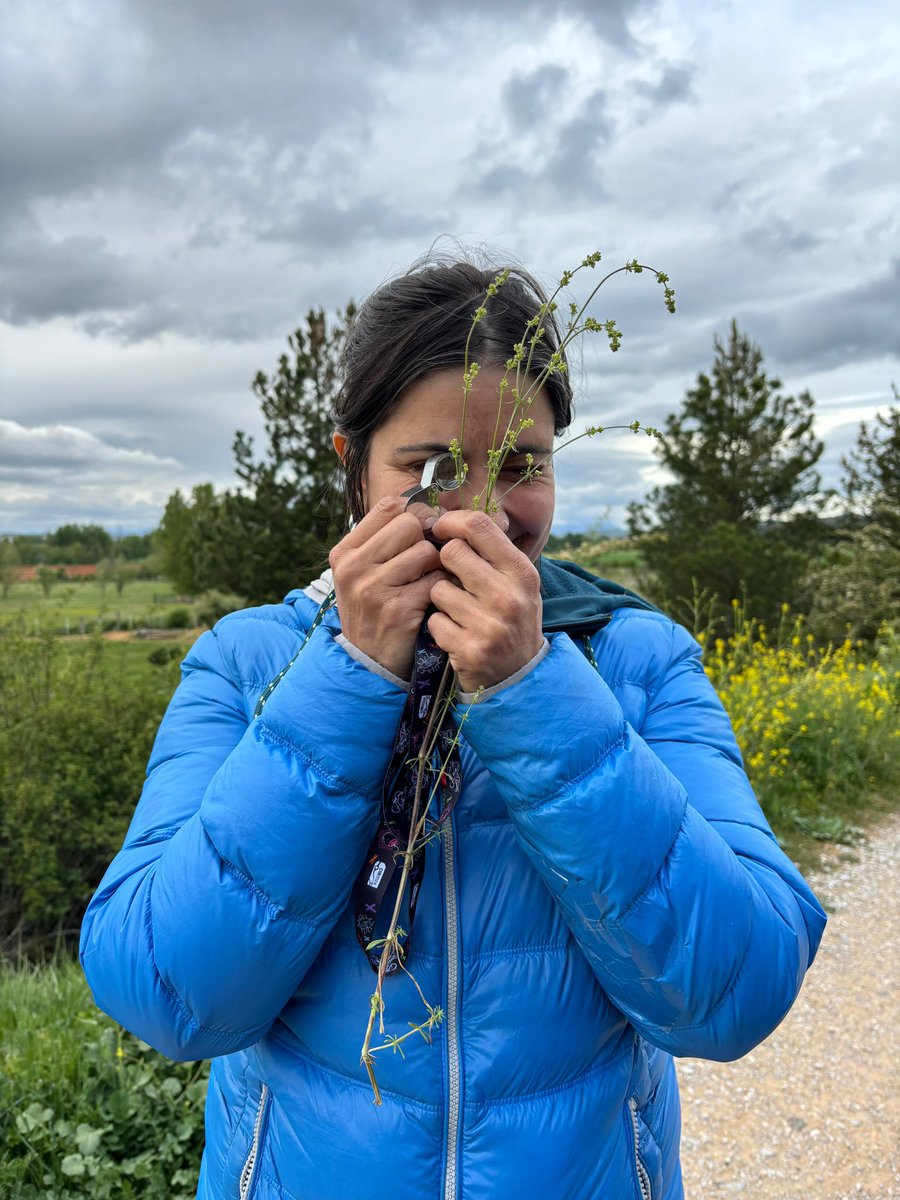 Estrella Alfaro Saiz tweet media