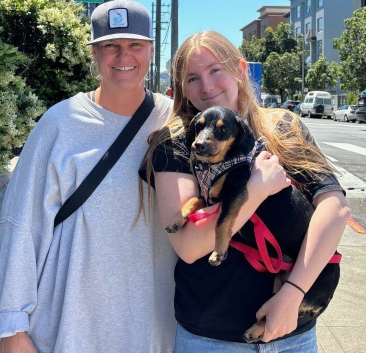 Rothko - home to #Marin with new dad, Bobby who wrote, 'I have never ever been without a dog and so I thought I could make some older dog's last years very happy.' 🫠 Skillet, #ForeverHome to #RedwoodCity now with Nicole & Kent & a bearded dragon lizard sister!🦎#NewBeginnings