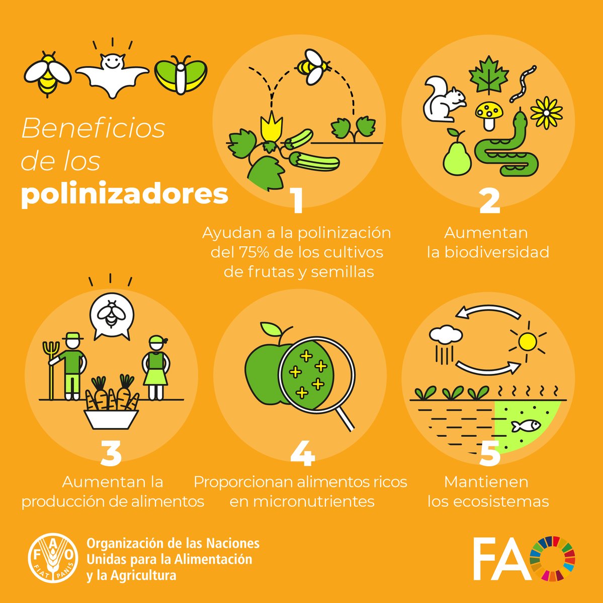 🐝Gracias a las abejas y otros polinizadores tenemos... ✅Más alimentos ✅Mejores alimentos ✅Más biodiversidad Aquí hay 5⃣razones por los que debemos protegerlos👇 #DíaMundialDeLasAbejas