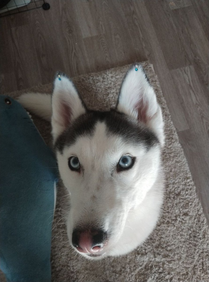 с возвращением.