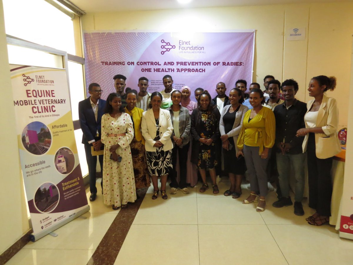 Working towards rabies spread prevention and elimination in Ethiopia!

Elnet Foundation, as part of our Animal Welfare Program, organized a training session on Prevention and Control of Rabies: A One Health Approach. The event took place on May 10, 2024, at the Bin International