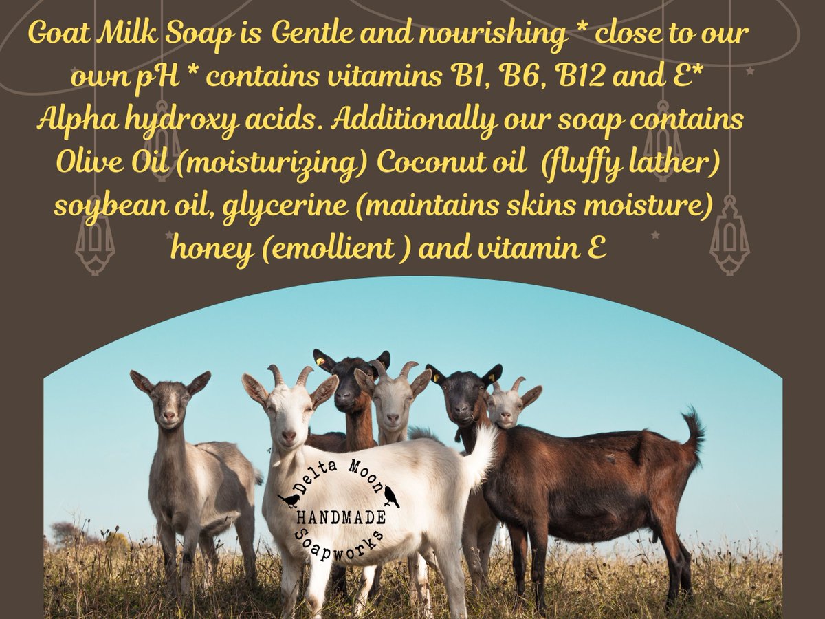 Goat milk soap is amazing for your skin! Get an upgrade from grocery store soap! #artisanSoap #handmade #gift #oliveOilSoap #shopLocal #coldProcessSoap #SmallBusiness #skincare #palmFree #shavingSoap #giftforHer   #etsySeller #deltamoonsoap