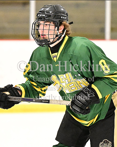 New pics of #TeamGreen from @EHL Michigan Combine now up on their @eliteprospects player pages ... Also coming to select @_Neutral_Zone pages ... Check 'em out! @mhick1953 #WherePlayersComeFirst #EHLCombineSeries @NeilRavin18 @Michigan_Elite