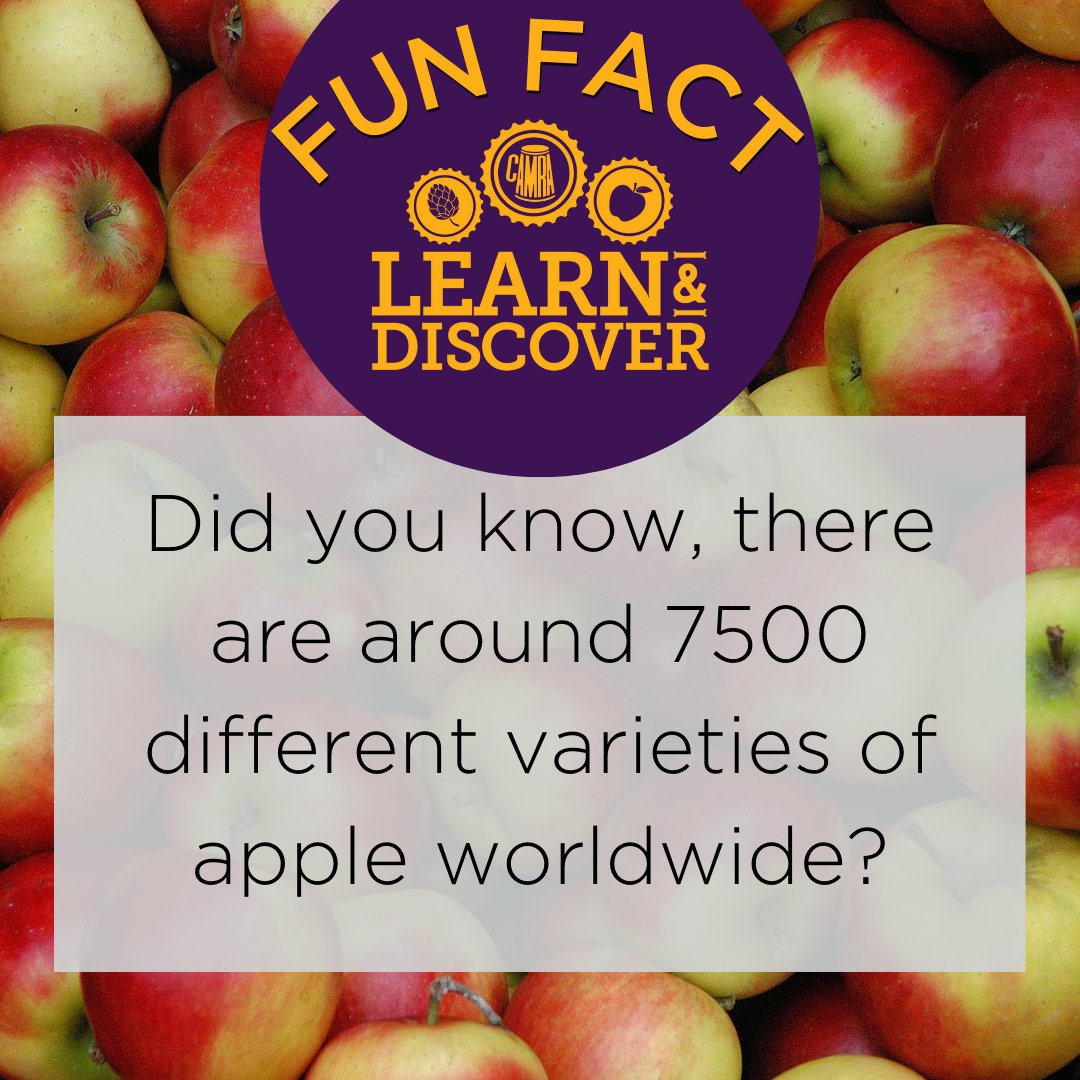 🍎 Did you know, there are around 7500 different varieties of apple worldwide? The type of apple will have an impact on the way your cider tastes.
🍏 Learn more about cider & perry styles with Jane Peyton (@SchoolofBooze) on our #LearnandDiscover platform: ow.ly/Wop050RIH1F