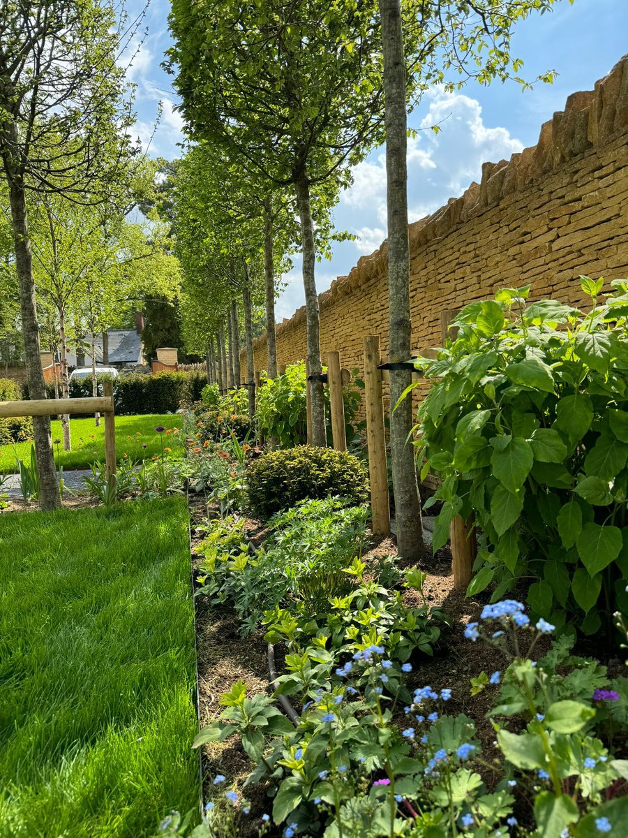 The planting is really settling in well on our Cotswold project and bursting with energy from the recent sun. 

#GardenDesigner #Cotswolds