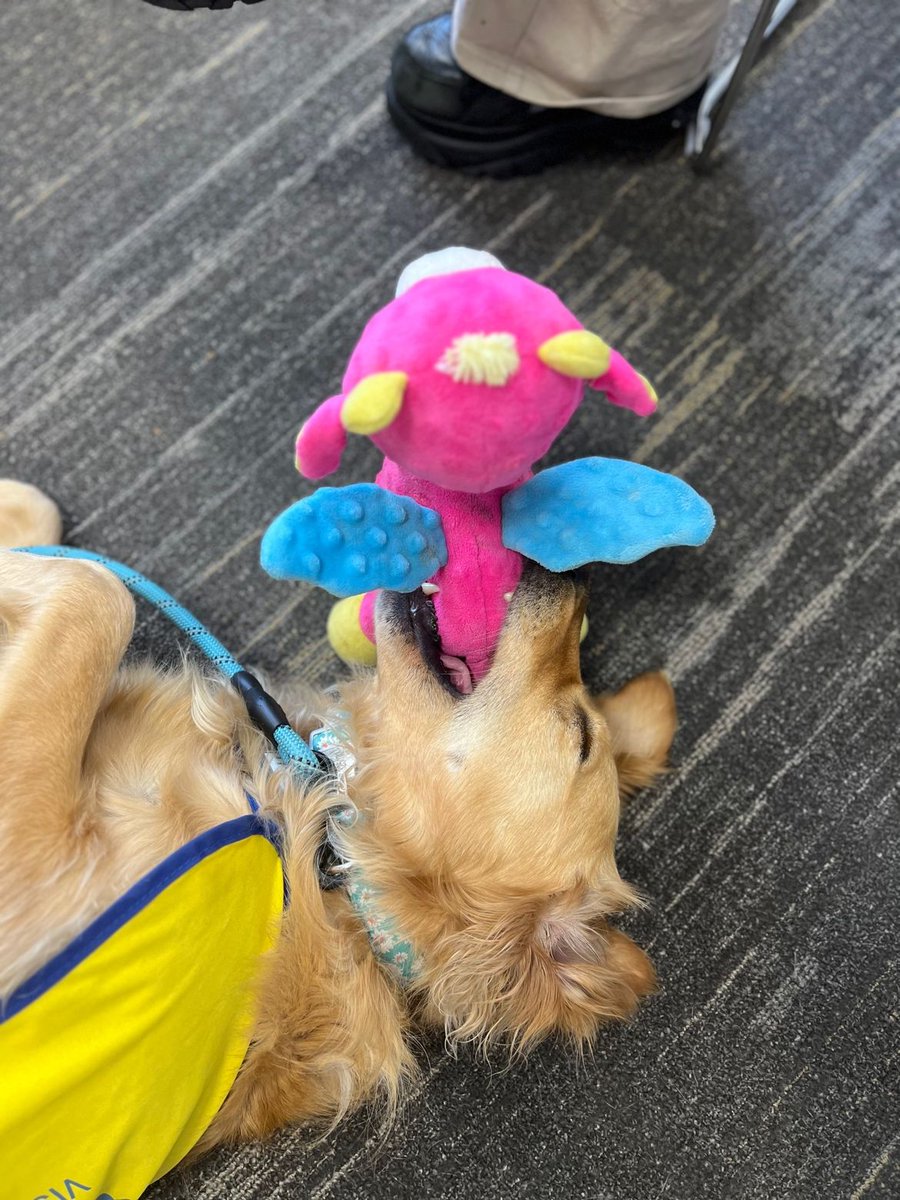 Closing #mentalhealthawarenessweek with Thanks to @Wickes for having us support their employees during their wellbeing week.💛🐾
If you're organising your next well being day and thinking of adding friendly pets send us a message or visit: petsastherapy.org/information/in…
#PetsAsTherapy