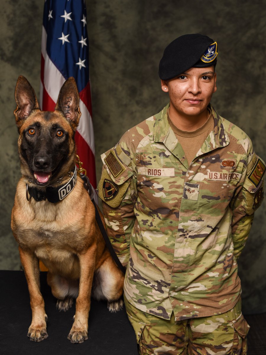 🐾Shoutout to our brave four-legged heroes at #TeamTinker!🐾It was picture day last week for K9s Jjerbyl, Pako, Wwarn, This (pronounced 'theese') and their handlers. #MilitaryWorkingDogs #K9Heroes #FurryWarriors #NationalPoliceWeek