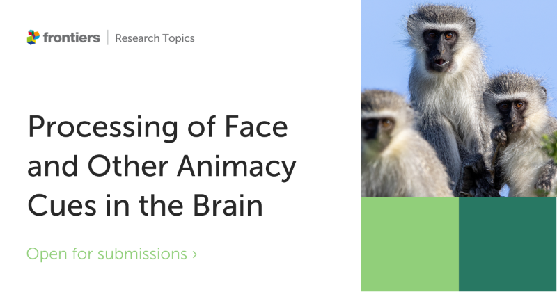 FrontPsychol's tweet photo. ๐ขNew Review 'Face detection mechanisms: Nature vs. nurture' @gVallortigara, @DKobylkov
๐ https://t.co/YMEpQS342G
Join the discussion about 'Processing of Face and Other Animacy Cues in the Brain', more information ๐ธ
#face #innateness #face_detection #face_categorization