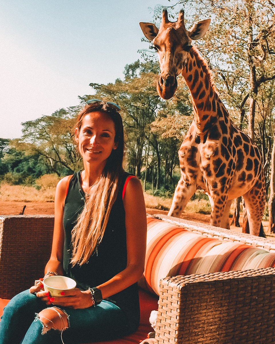 “#photobombed…” - a photo by @clairetrickett - @andbeyondtravel Editor | #seewhatliesbeyond #andbeyondtravel #bateleurmagazine #giraffemanor #thesafaricollection #whyilovekenya