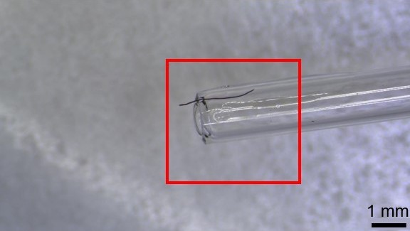 This Friday (5/24) from 1-3pm EST, I will join my fellow #metfellows to present our research.
Register here to learn about my work developing a new tool for minimally invasive, high resolution analysis of organic colorants (down to the single fiber level)!
metmuseum.zoom.us/webinar/regist…