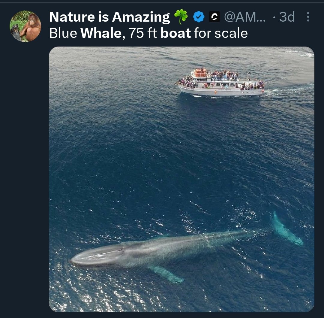 Red Pill USA tweet media