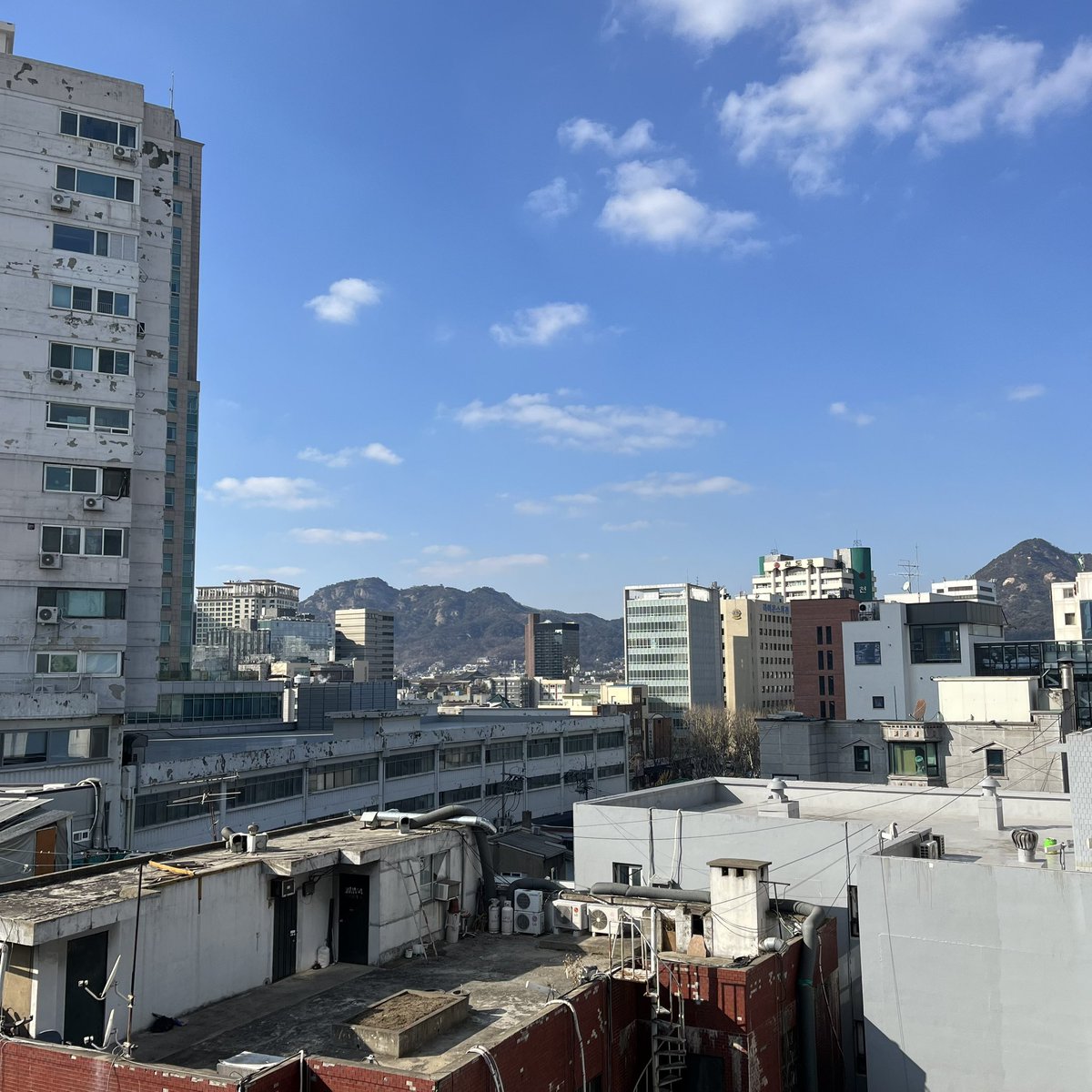 사이 tweet media