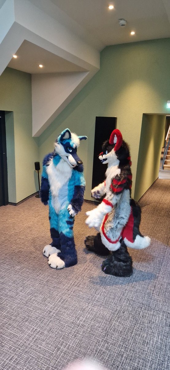 That happy moment when you are waiting for the lift and see your bestie from the other side of the world. 

<a href="/blckwhtrd/">アルク</a> 
<a href="/BFL_Con/">Back Front Lodge Companions (BFLC)</a>