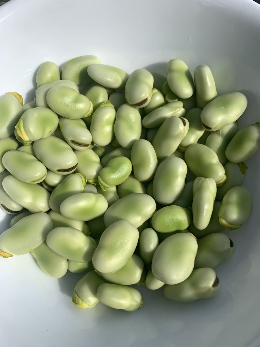 Kenneth33071904's tweet photo. My favas https://t.co/gRy0Mgczdu