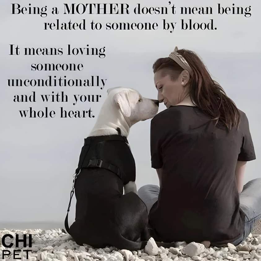 #Truth Love this pic! 🐾❤💞😘