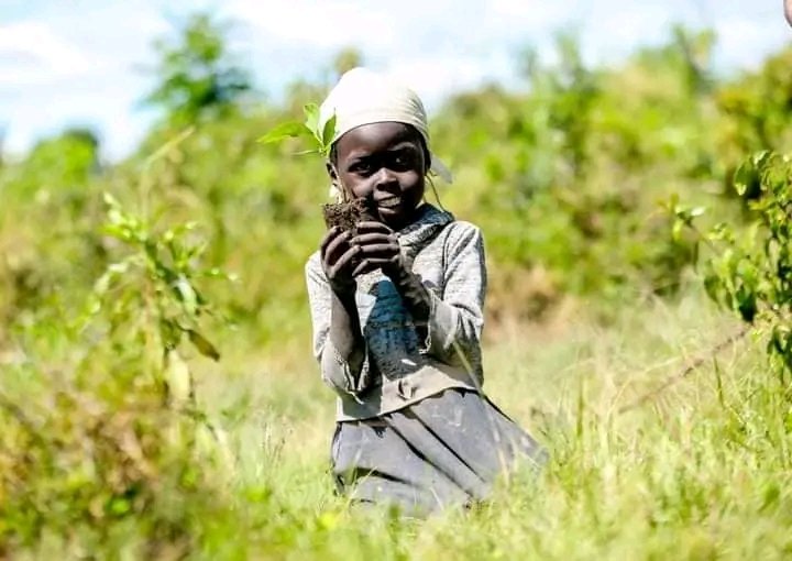 This picture shows that empowering our kids to embrace greening creates a safer, healthier future for everyone. Let's nurture their love for nature and plant the seeds of sustainability today. #KidsForNature #GreenFuture