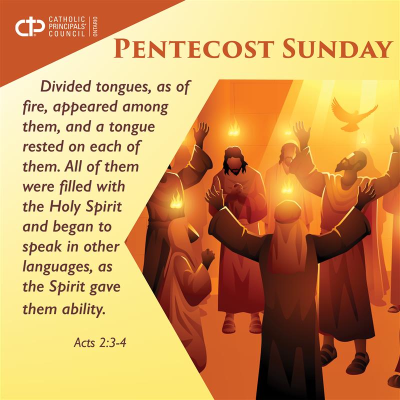 Just as the disciples were filled with the Spirit and spoke in many languages, may we also reach out and connect with hearts across the Catholic community this #PentecostSunday.