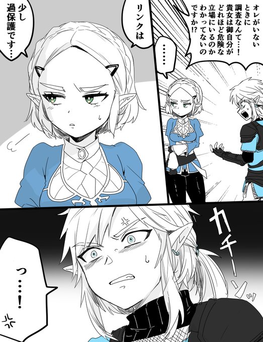 立場立場言われてうんざりしちゃうゼルダ様といつも一緒が良い英傑君喧嘩して♡ 