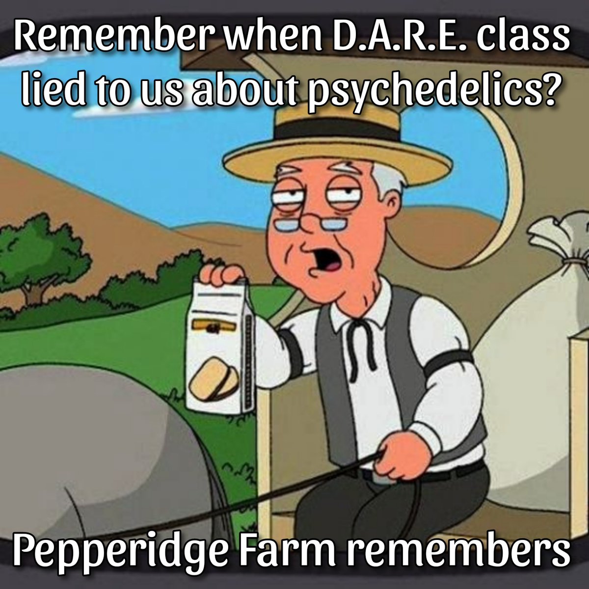 Really wish I still had my D.A.R.E. course materials 🧙‍♂️