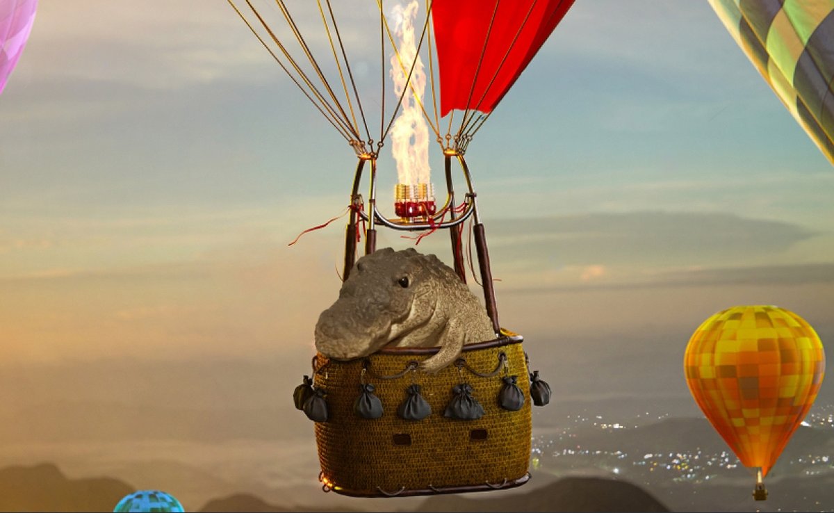 Gomu Gator tweet media