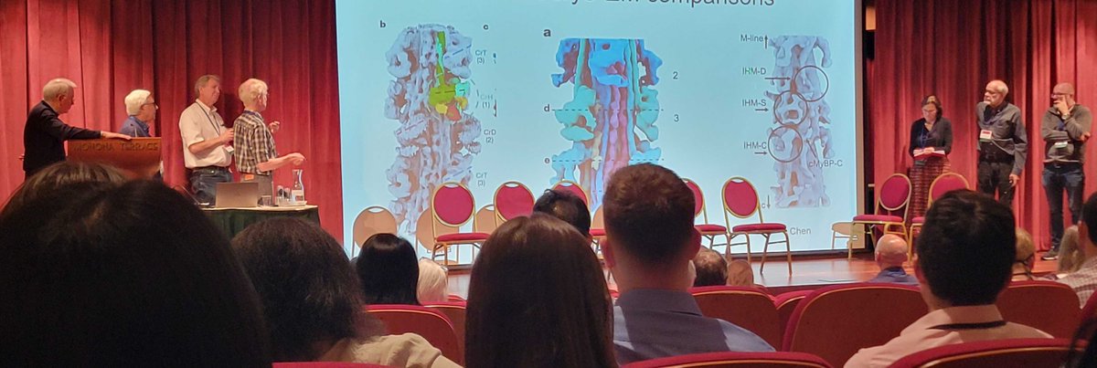 a rich discussion on the esoteries of myofilament structure. #myofilament