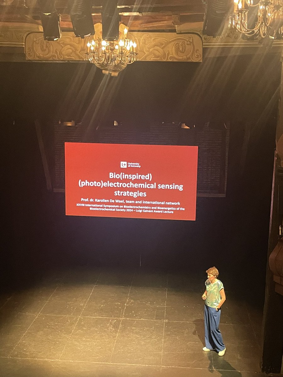BES2024_symposium (@bes2024s) on Twitter photo Second conference by Prof. dr. <a href="/De_Wael_K/">Karolien De Wael</a> @KDeWaelLab, Luigi Galvani Prize.
'Bio(inspired) (photo)electrochemical sensing strategies' Second conference by Prof. dr. <a href="/De_Wael_K/">Karolien De Wael</a> @KDeWaelLab, Luigi Galvani Prize.
'Bio(inspired) (photo)electrochemical sensing strategies'