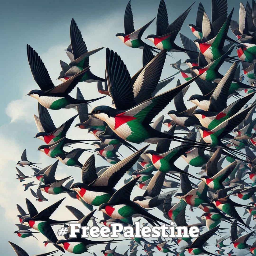 ASLA PES ETMEK YOK!

Bağrımızdaki güvercinleri öldürdüler ama Yola binlerce ebabille kararlılıkla devam edeceğiz.

Soykırım ve katliamların karşısında dimdik duracağız, sesimizi yükselteceğiz. 

#FreePalestine
#GazaHoloucast 
#RafahUnderAttack 
#RafahHoloucast
#RafahGenocide