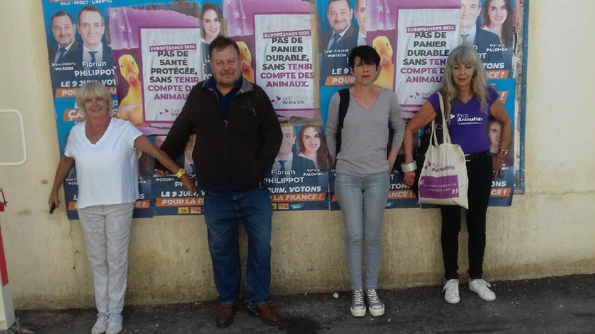 #ElectionsEuropéennes Collage affiches, distribution tracts pour @PartiAnimaliste ce matin Saint-Rémy de Provence avec Sophie Roussi-Planché, conseillère municipale chargée des animaux, Estelle militante, @Mainville3Marie candidate sur liste @PartiAnimaliste