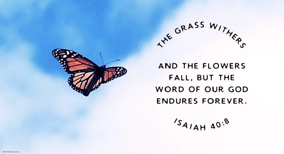 RannerJoe's tweet image. 