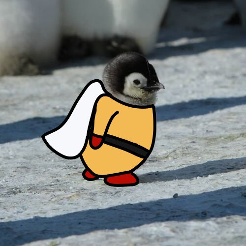 pengu tweet media