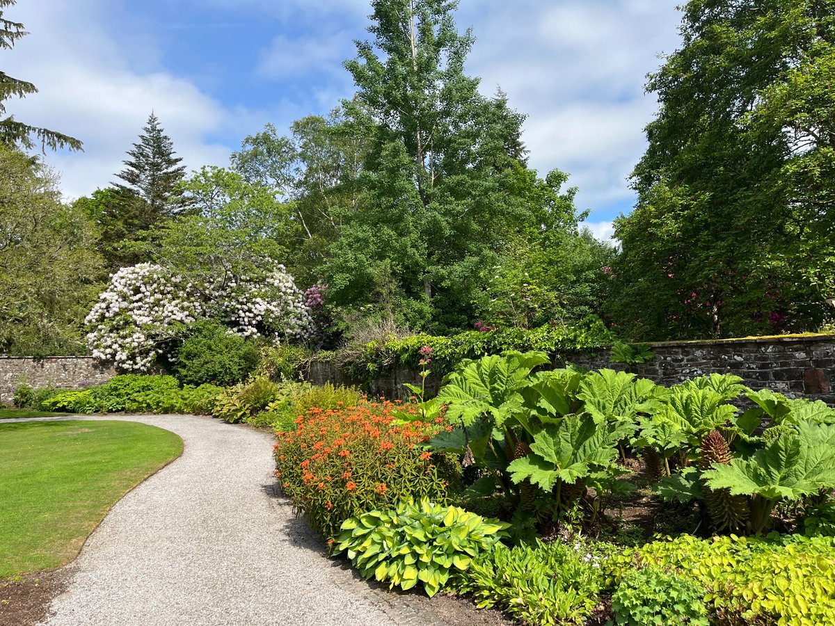 WdcLocal's tweet image. Lovely day at the Scotland’s Gardens open day at Ross Priory. The young plunter (plant hunter) enjoyed himself.