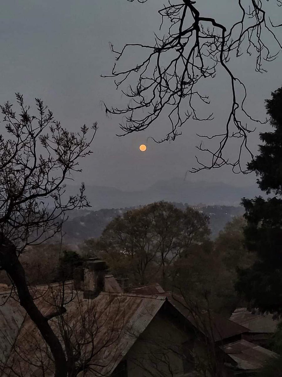 ' Once you have lived with mountains, you will return, you will come back, to touch the trees and grass; And climb once more, the windswept mountain pass ' -- #RuskinBond Happy Birthday 🌼