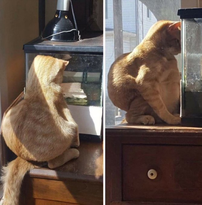 before you hmu just know im shaped like this ok https://t.co/ucwRrC7mnk