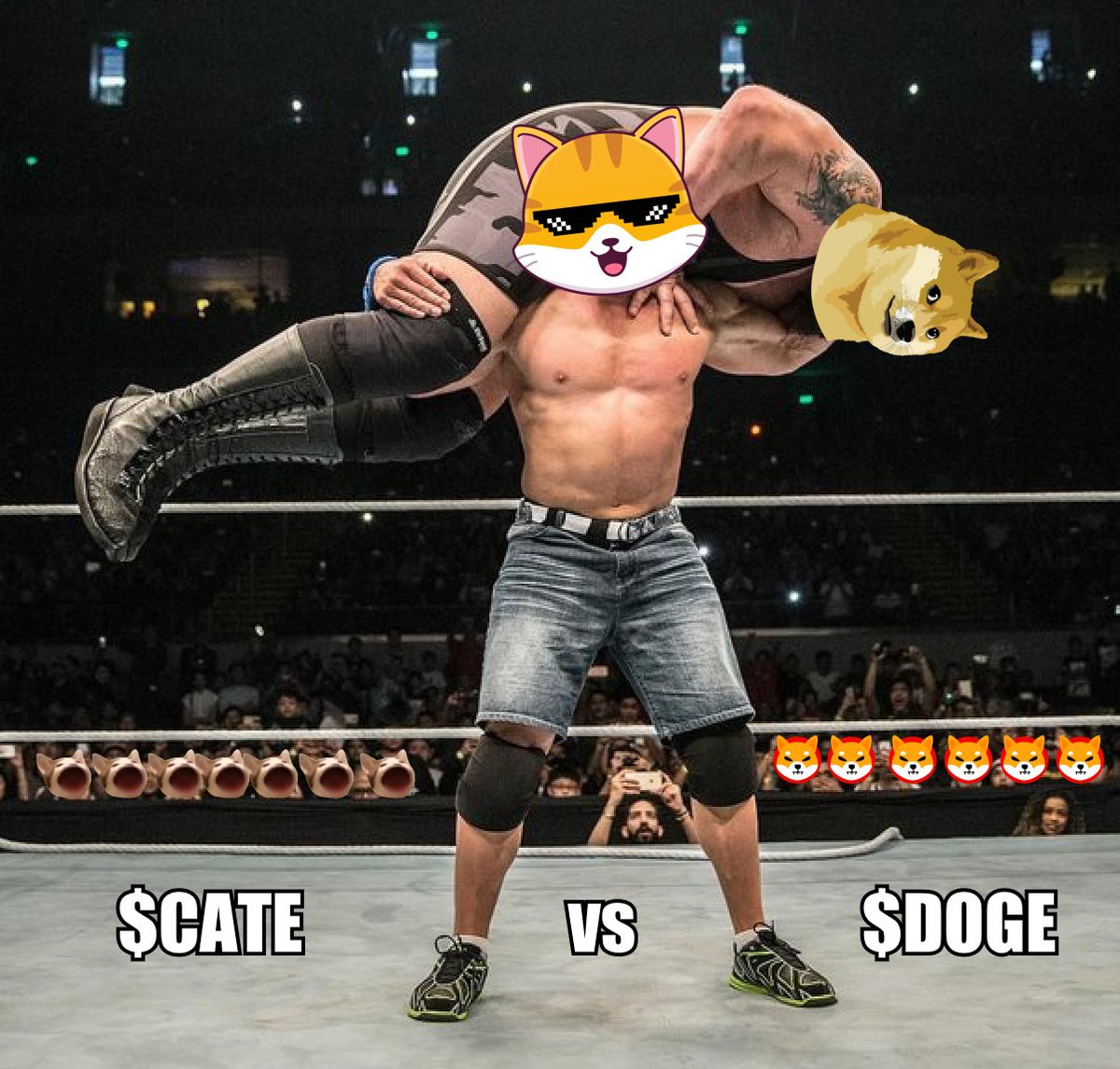 Every day stronger!
$CATE vs $DOGE is inevitable!

The O.G. cat vs the O.G. dog 😼🥇🌎🚀
#catecoin #memecoin #wwf