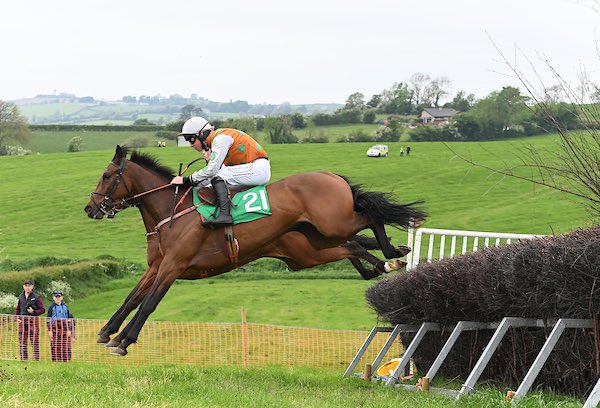 The winners keep coming for @jamie_scallan1 who is now on 21 winners for the season following a double yesterday for @farmerdoyle16 @MonbegStables 📸 healyracing.ie