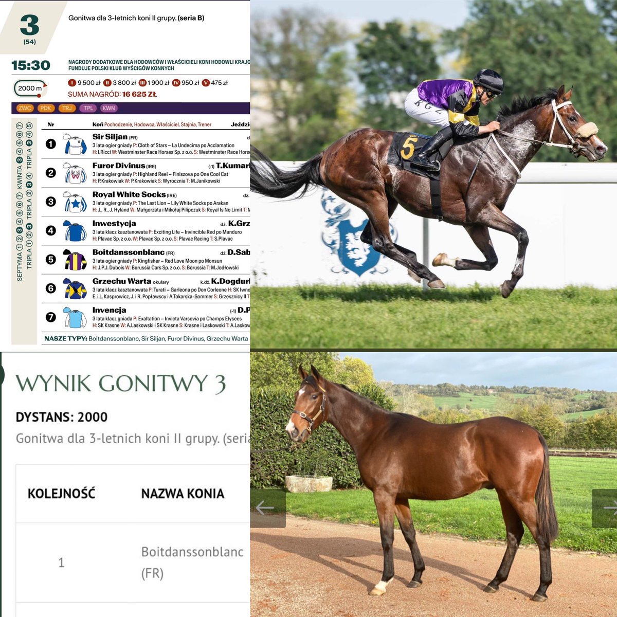 🏆BOITDANSSONBLANC wins over 2000m in 🇵🇱 with Style.

✔️Sold by Lieu des Champs at <a href="/InfoArqana/">ARQANA</a>